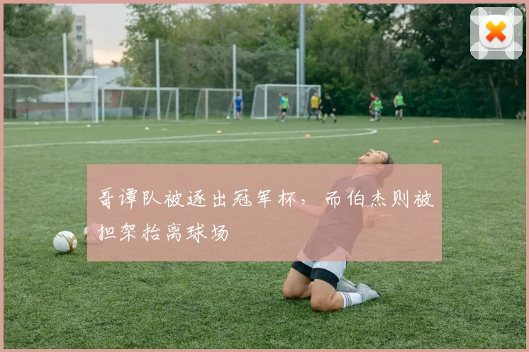 哥谭队被逐出冠军杯，而伯杰则被担架抬离球场