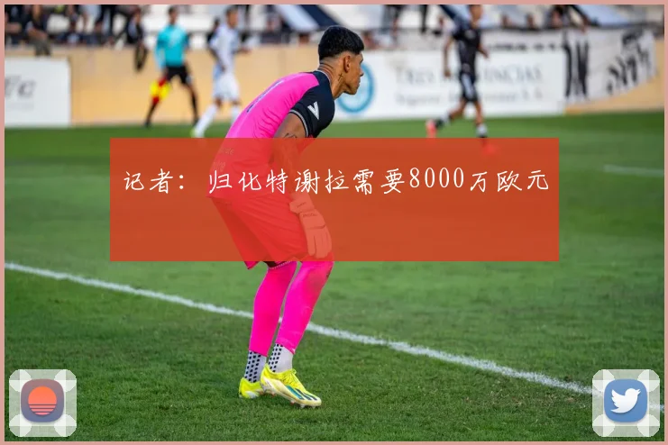 记者：归化特谢拉需要8000万欧元