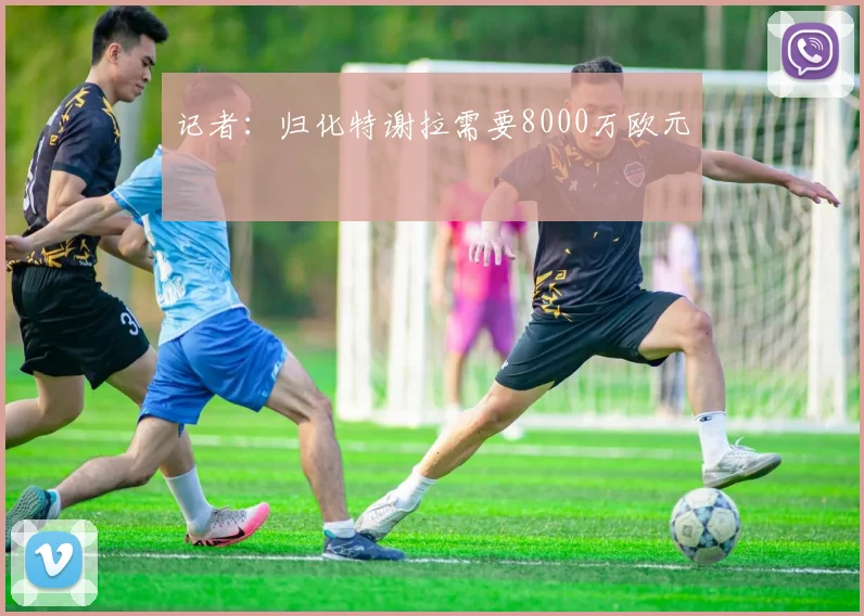 记者：归化特谢拉需要8000万欧元