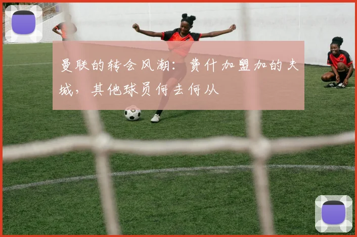 曼联的转会风潮：费什加盟加的夫城，其他球员何去何从