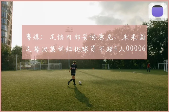 粤媒：足协内部妥协意见，未来国足每次集训归化球员不超4人0000644