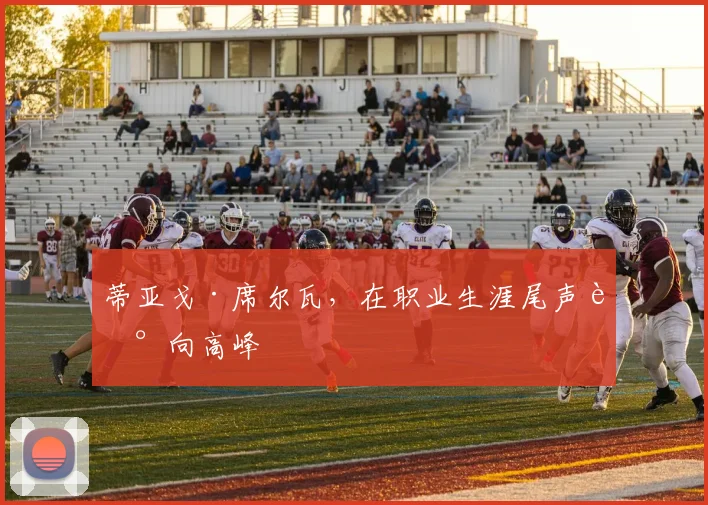 蒂亚戈·席尔瓦，在职业生涯尾声走向高峰