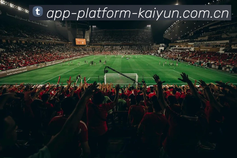 开云(kaiyun)官方APP 封面图